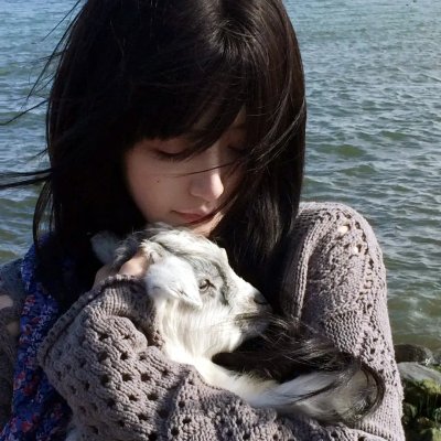 猫与爷爷
